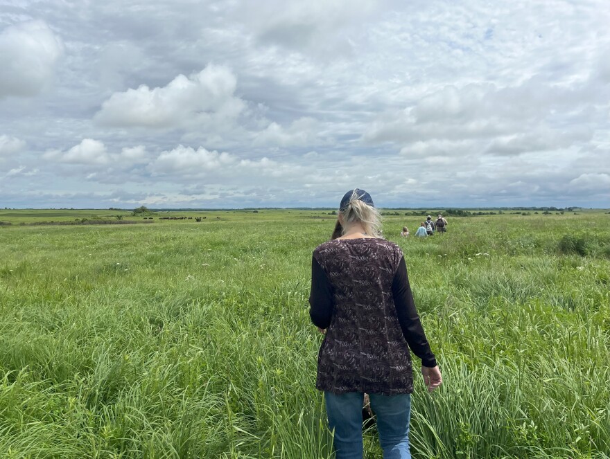 Visitors walk through the tallgrass at Prairie State Park with a group of bison in the distance.