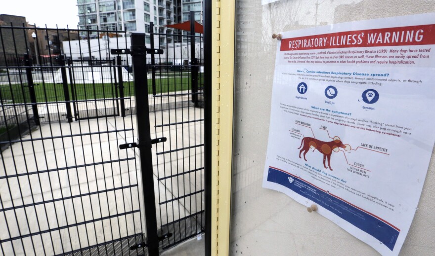 A sign warning of canine respiratory illness is posted at a dog park in Chicago.