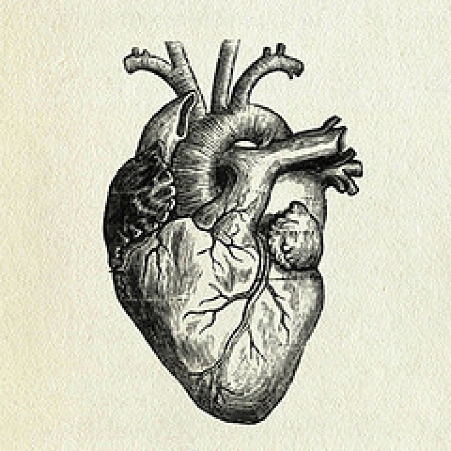 heart illustration