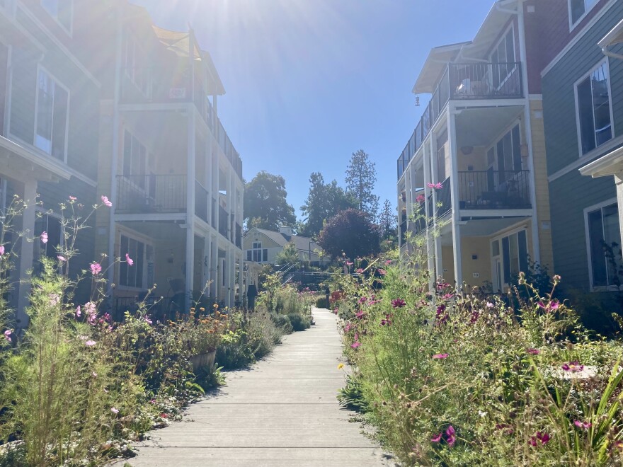 The central path at Haystack Heights winds through condos towards a common house in the back. A community joke says it takes an hour to walk from your car to your door because of all the neighbors you'll say hi to along the way.