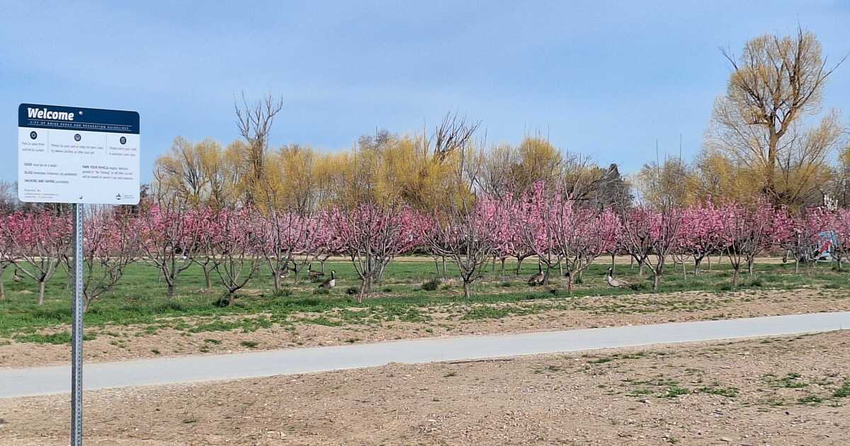 America 250: Short Histories of Boise - Spaulding Ranch