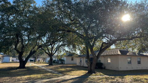 Existing trees at Hillcrest Development.