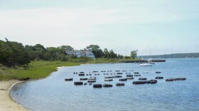 A shellfish nursey in East Hampton, N.Y.