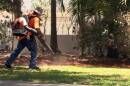 Roberto Poveda uses his leaf blower to clean up during a job in Coral Gables. These growling machines blow leaves, dust, pollutants and eardrums. They cause heated debates at city halls, where many residents want to ban them over the objections of their neighbors and lawn maintenance companies.