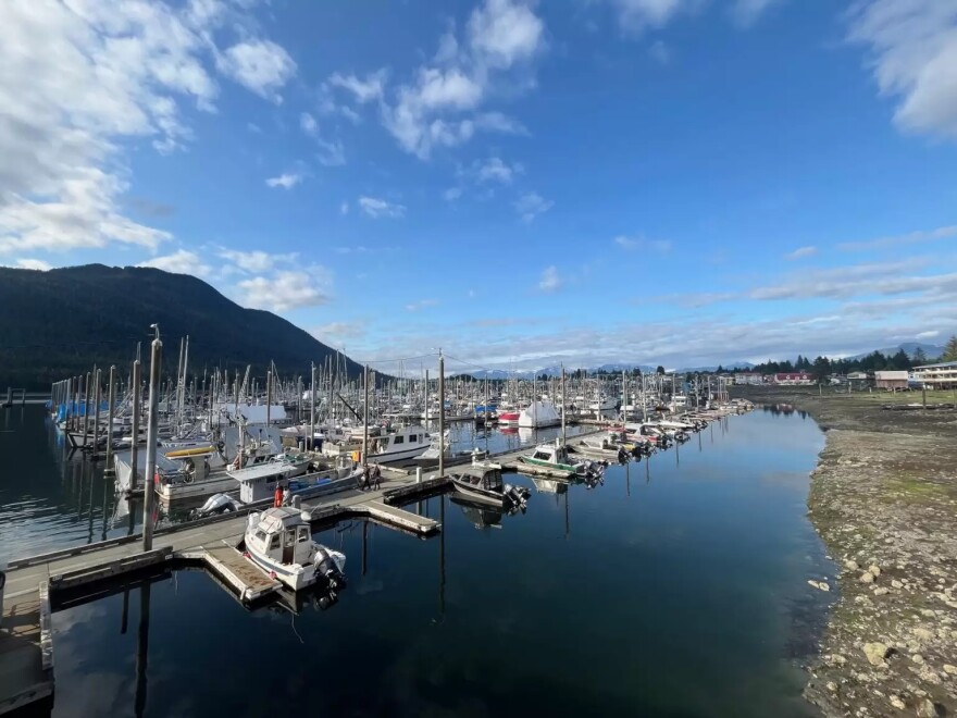 Petersburg’s South Harbor at the beginning of the summer, 2024