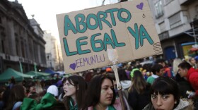 A pro-choice activist holds a sign that reads in Spanish "Legal abortion now" during a rally to legalize abortion outside Congress in Buenos Aires, Argentina, Tuesday, May 28, 2019. (Marcos Brindicci/AP)
