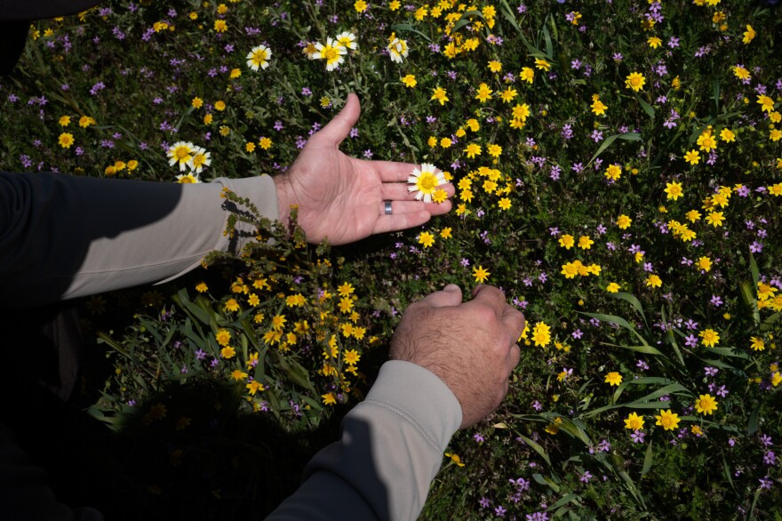 Garcia compares different types of flowers.