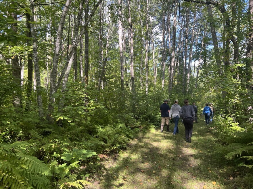 A group walks through retired Department of Natural Resources forester Gary Anderson's forest during a Sept. 12, 2026, woodland walk event organized by Cass Soil and Water Conservation District near Outing.