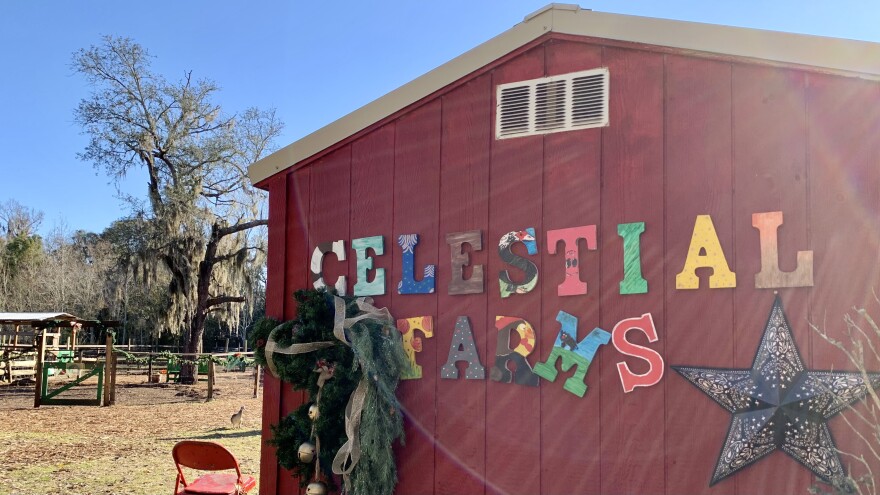 Barn decorated with colorful "celestial farms" lettering