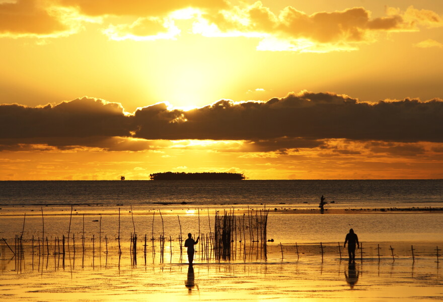 In this Wednesday, June 4, 2014 photo, fisher folk work on in shallow waters, near Nuku'alofa, Tonga. 