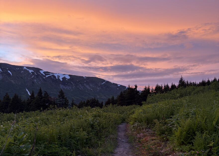 A pink sky seen on the 500-mile Alaska Long Trail
