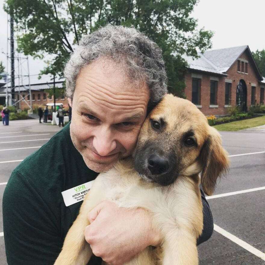 Vermont Public's Mitch Wertlieb with his beloved dog Fezzik.