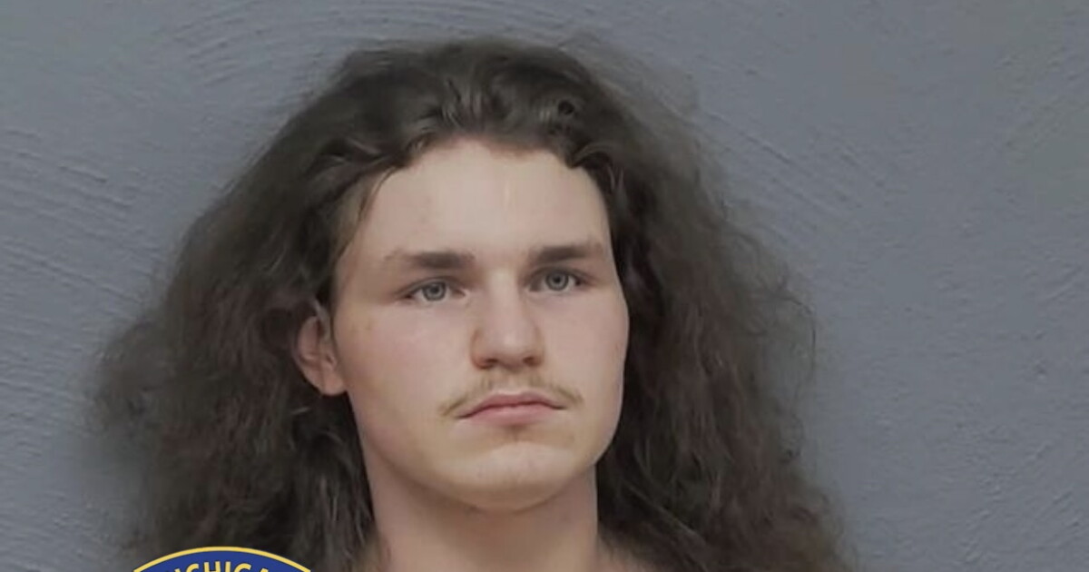 Mackinac County stabbing suspect arraigned