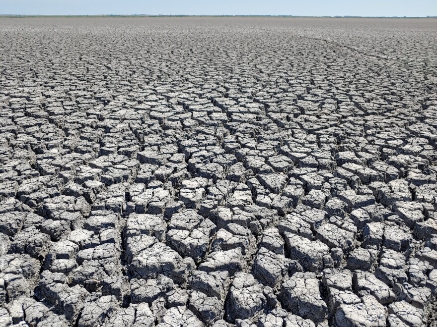 A basin at Cheyenne Bottoms wetlands in central Kansas that's normally filled with water sits empty after a dry, hot summer. It would take several inches of rain just to saturate this dry, cracking dirt enough to begin filling the wetlands again.