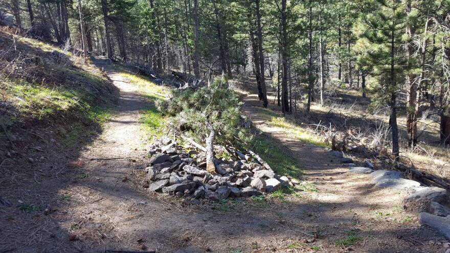 young_gulch_trail_construction_oct2017__22_.jpg