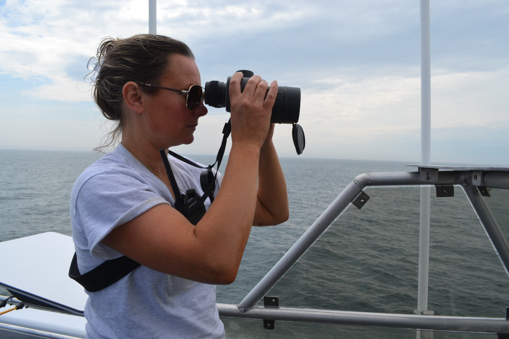 Researchers are on a mission this summer to learn more about right ...