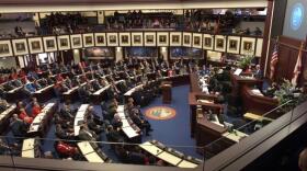 The Florida Senate