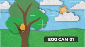 The St. Joseph County Public Library's new Paige Egg Cam, an animated egg they hope will build excitement about their new Early Birds early literacy initiative. It's viewable at sjcpl.org/egg-cam-day/