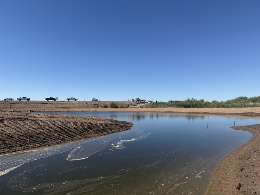 The Cocopah North Reservation restoration site shows ongoing efforts to improve habitat and water quality along the Colorado River.