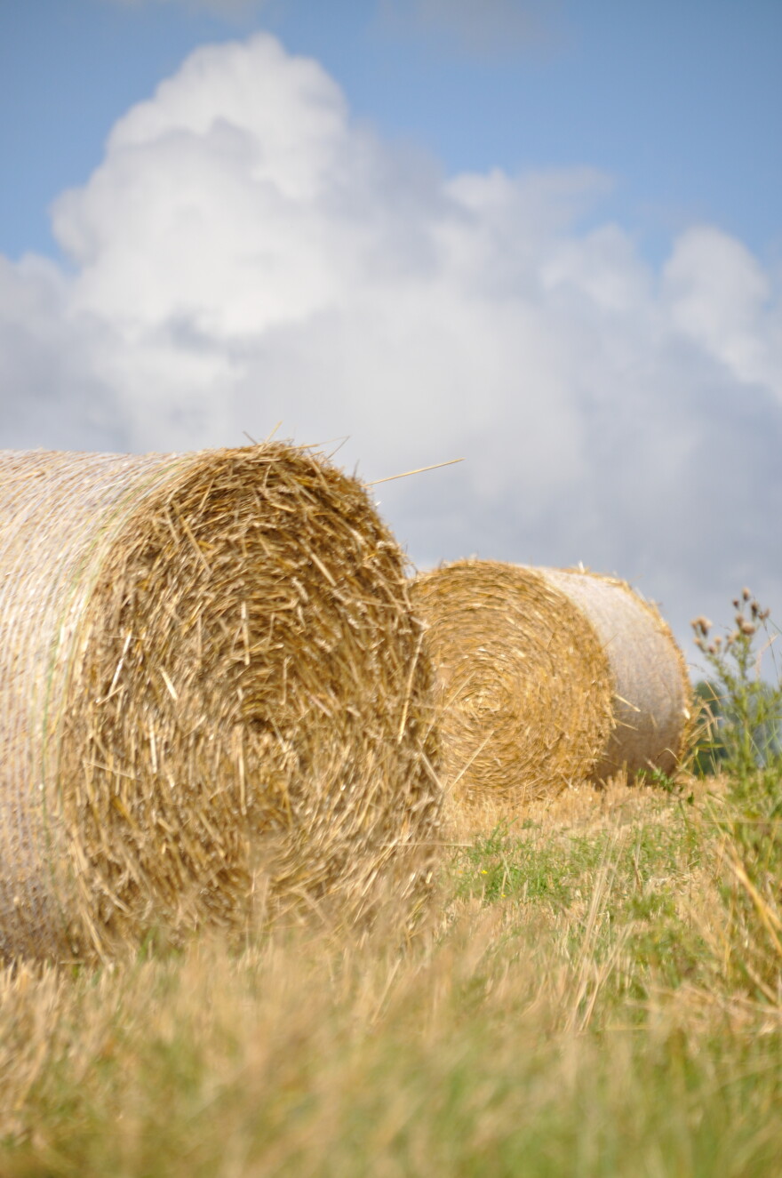 hay bales in a field with a blue sky with some clouds