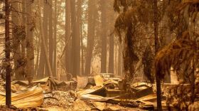 Josh Edelson/AFP via Getty Images