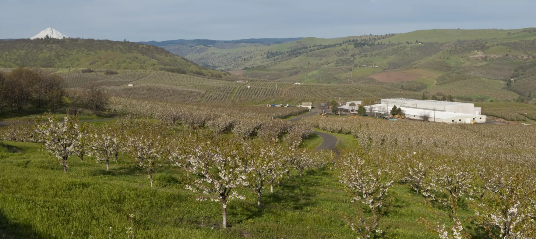 Tues 9AM | OAT protects Oregon's farmlands from development and fragmentation