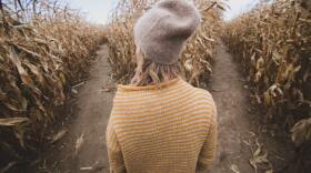 Explore the many corn mazes at small farms across the Kansas City region.