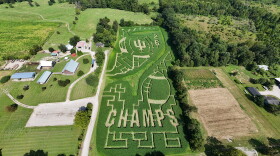 Fowler Pumpkin Patch’s corn maze is shaped to celebrate IU’s national championship win from last football season.