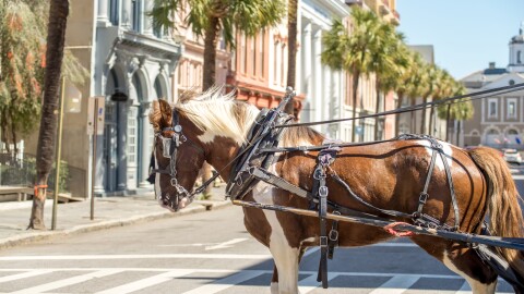 historic charleston south carolina downtown scenery