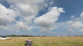 Julie Blackmon (American, born 1966), Picnic, 2013, archival pigment print, 59 x 77 ⅘ inches. Collection of Bill Haw, Kansas City, Missouri. Art and photo © Julie Blackmon.