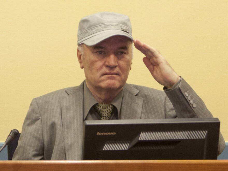 Ratko Mladic, during his appearance at the International Criminal Tribunal in The Hague, Netherlands, earlier today (June 3, 2011).
