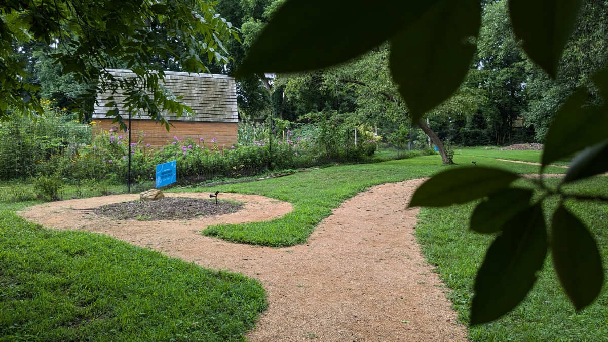 A first-of-its-kind garden comes to life at UNC in testimony to NC's Native presence A first-of-its-kind garden comes to life at UNC in testimony to NC's Native presence