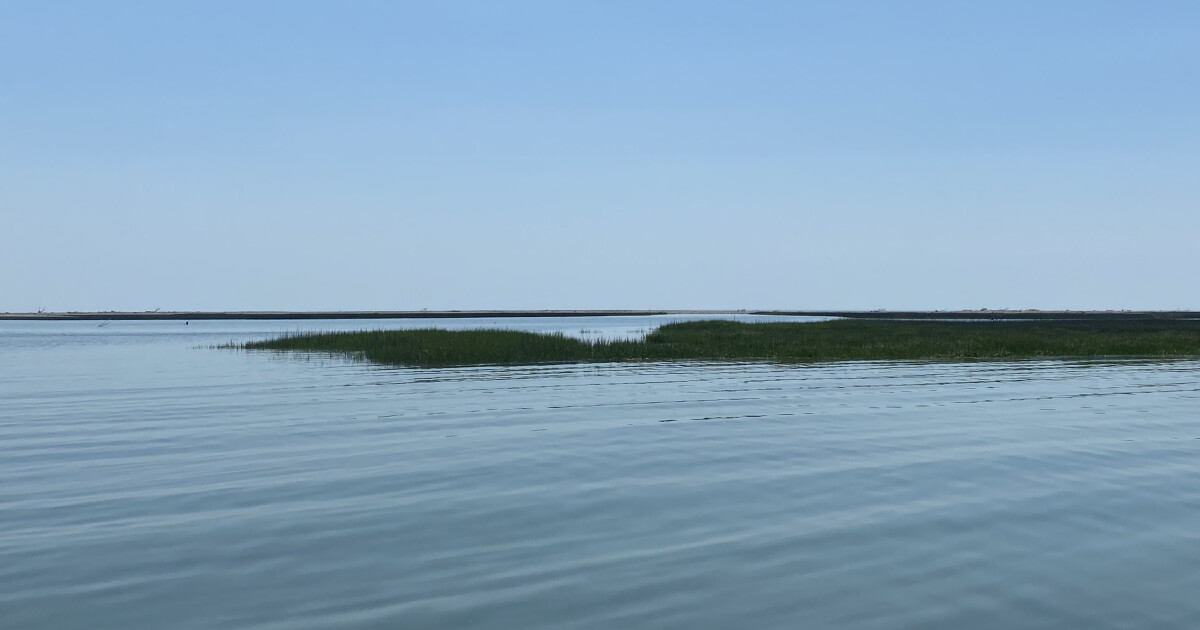 Chesapeake Bay earns its best grade ever on annual report card