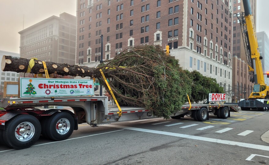 Large Spruce on its side on a truck bed, tied up. There's a sign on the truck that reads "Our Michigan State Capitol Christmas Tree"