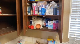 A cat hides inside a cupboard of an abandoned apartment.