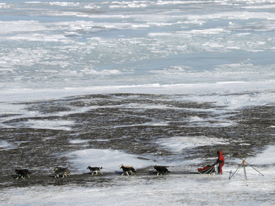 Lance Mackey drives his dog team along the Bering Sea during the 2007 Iditarod. "There are sections of trail that are over 200 miles with nothing in between," Mackey says. "Without your dogs, it'd be pretty lonely out there."