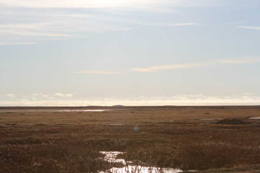 The National Petroleum Reserve-Alaska. (Photo by Elizabeth Harball/Alaska’s Energy Desk)