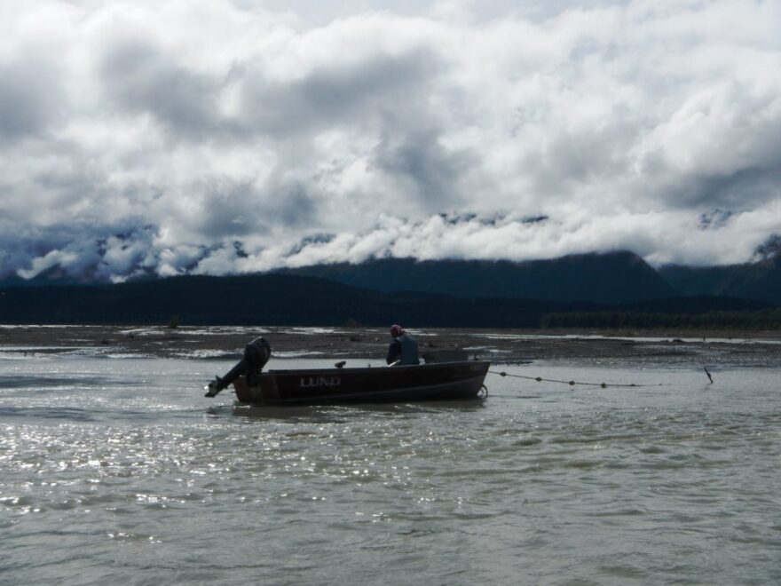 A subsistence fisherman checking his net in the Chilkat River.