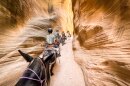 Teens steer mules through a southern Utah slot canyon at Cowboy Camp, July 8, 2026.