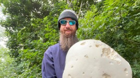 Fred Breglia holds a giant example of Calvatia gigantea, commonly known as the giant puffball. 