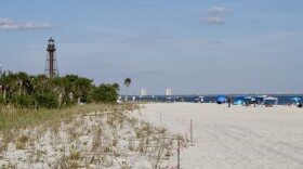 Young beach dunes at Lighthouse Beach Park on Sanibel Island are blocked off by thin rope to prevent the fragile habitat from being disturbed by beachgoers.