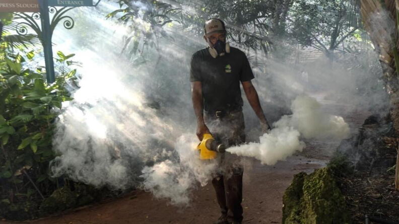 Experts Monitor South Florida for Potential Dengue Outbreaks Amidst El Niño Conditions