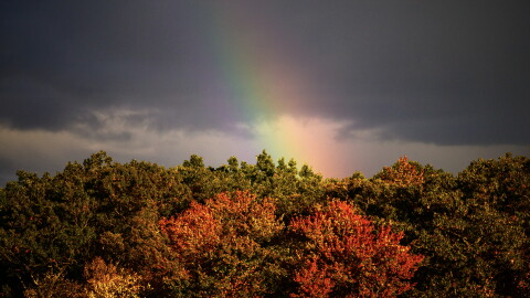A rainbow appears behind a line of trees as afternoon storm clouds pass over the East Hartford area Monday, October 17, 2023.