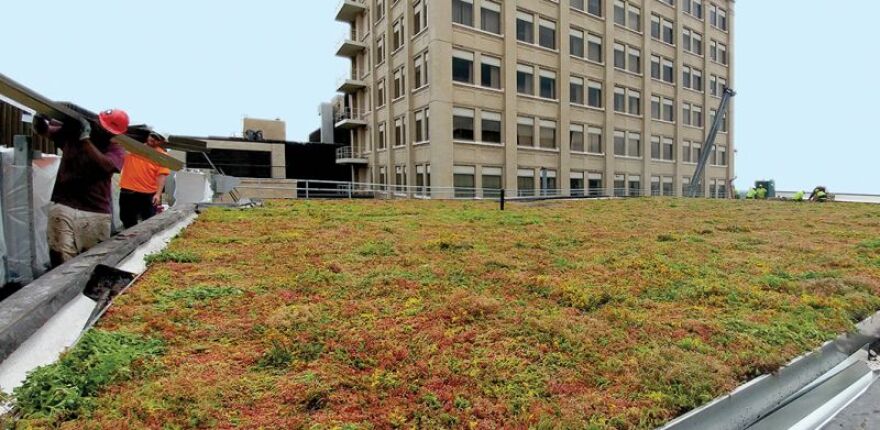 Rochester-based Elmer Davis, Inc. worked with Wayside Gardens to retrofit four buildings at the downtown MCC campus.