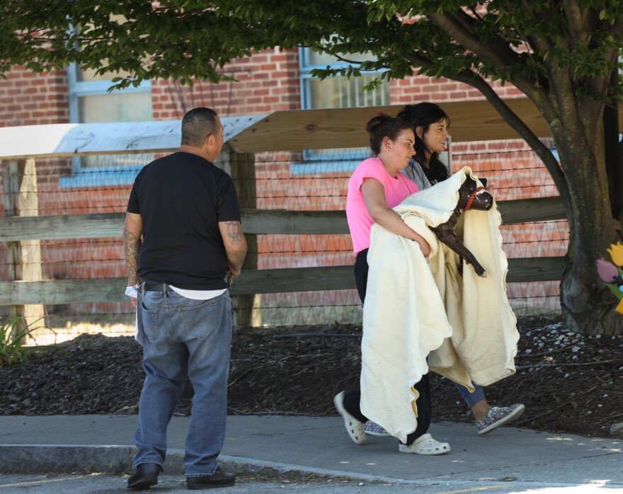 Two staffers with Rochester Animal Services carry a dog draped in a large blanket into the Verona Street shelter on July 1, 2024. The dog had been hit by a car, but there was no full-time vet on duty so one had to be called in.