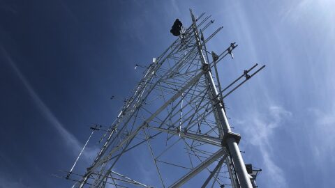 radio antennae