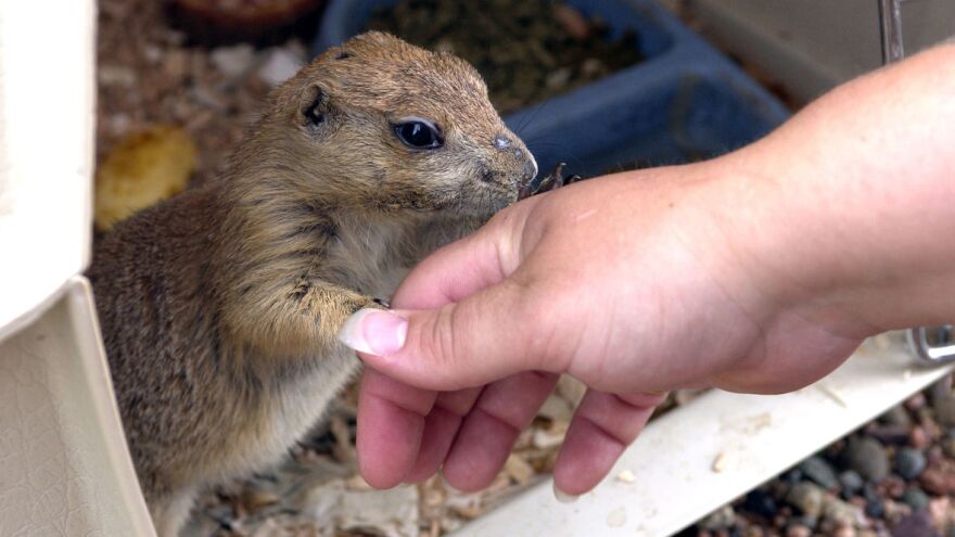 Mike Roemer/Getty Images