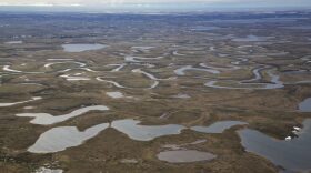 lakes and rivers dot tundra
