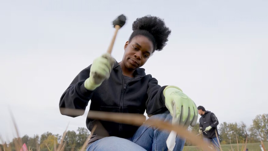A woman uses a small mallet on an unseen object in a field