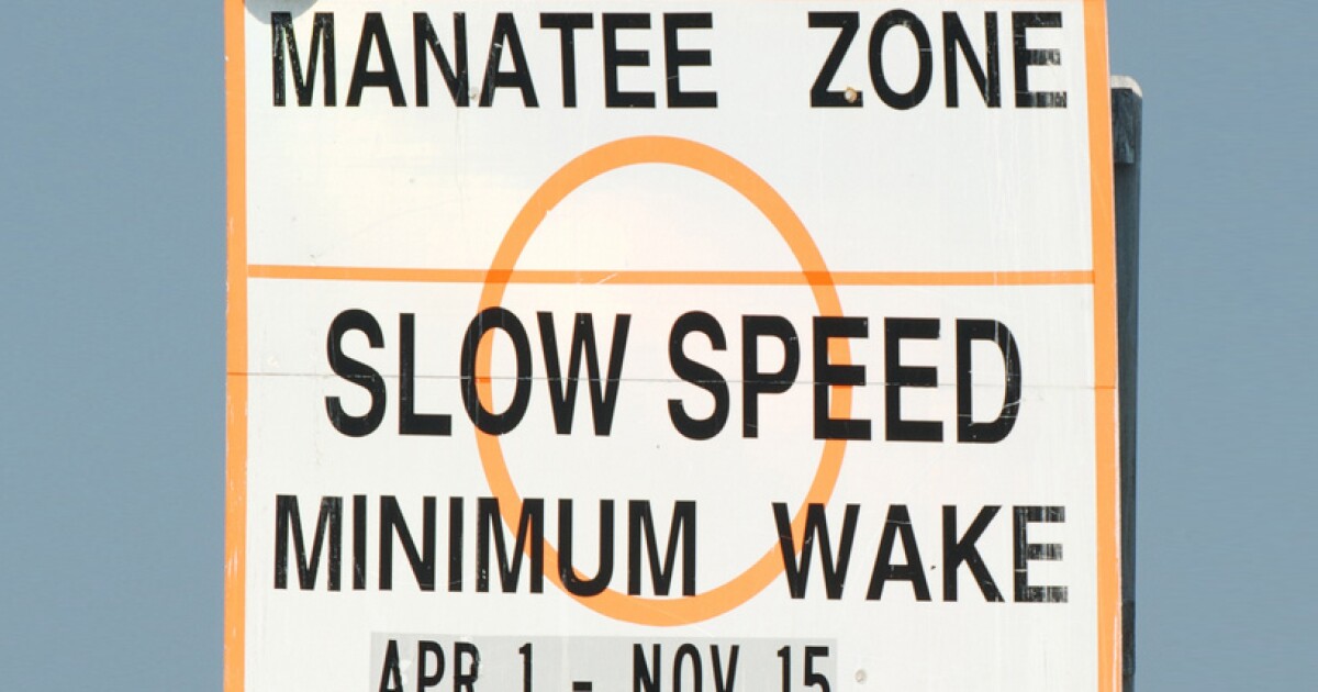 Boaters Urged to Slow Down as Manatees Migrate to Warmer Waters | WGCU